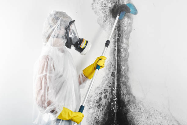 Best Mold Prevention Services  in Uniontown, OH
