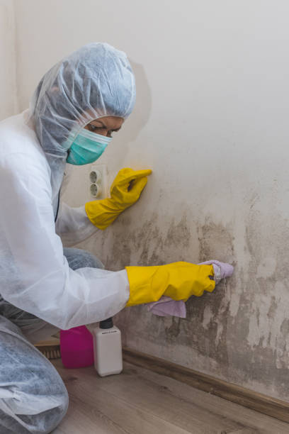Best Indoor Air Quality Assessment  in Uniontown, OH