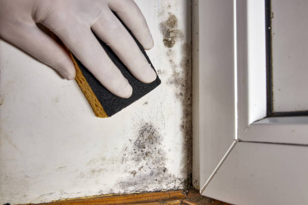 Mold Remediation for Rental Properties in Uniontown, OH